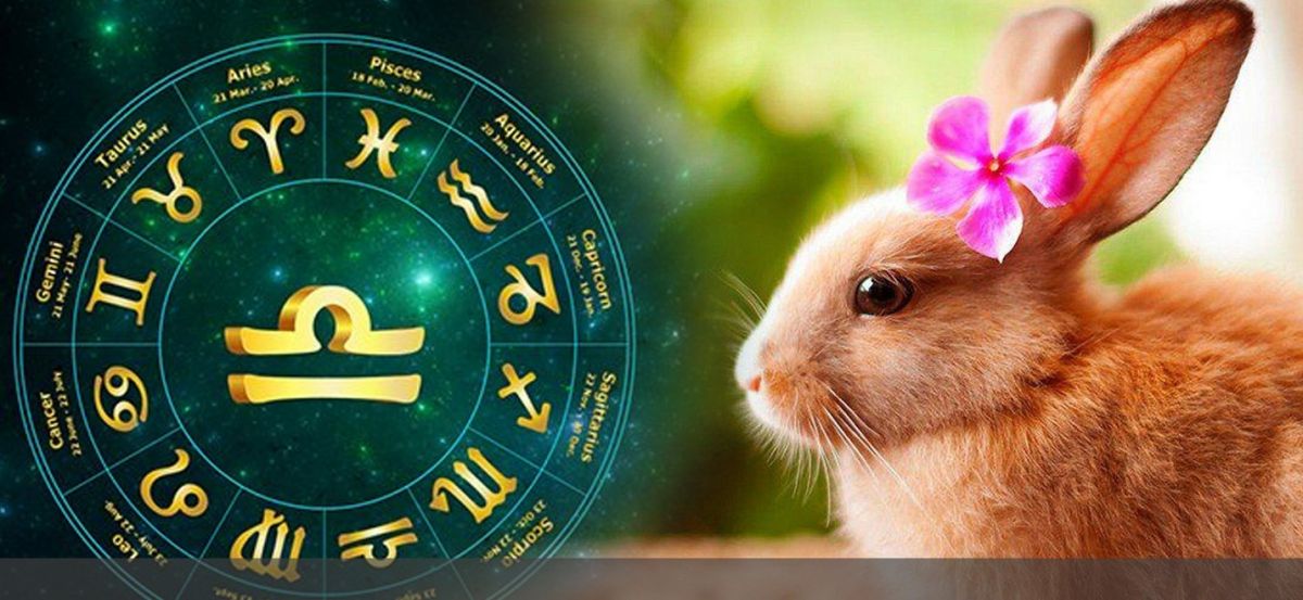 Хонь жилтнээ аливаа үйлийг хийхэд сайн